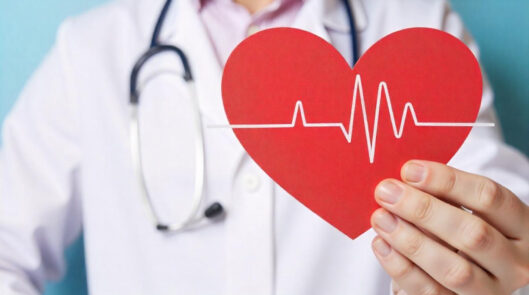 Лечение сердечно-сосудистой системы